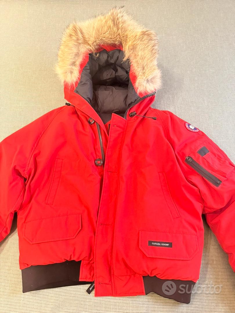 Canada goose cheap uomo usato