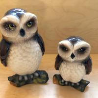 Coppia di civette o gufi in ceramica