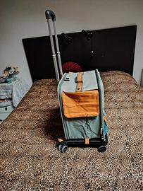 trolley per gatti e piccoli cani
