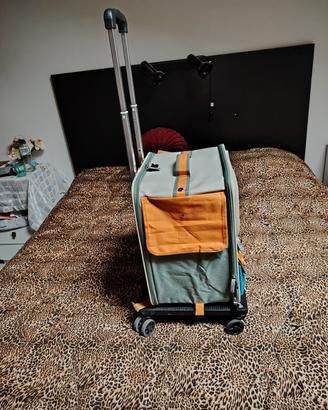 trolley per gatti e piccoli cani