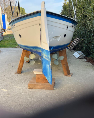 Gozzo Bertozzi 2 motori