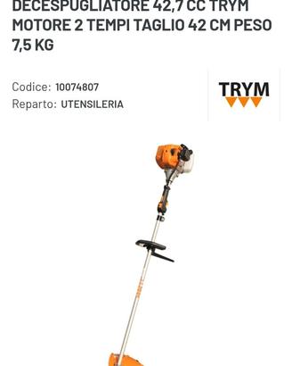 Decespugliatore a scoppio