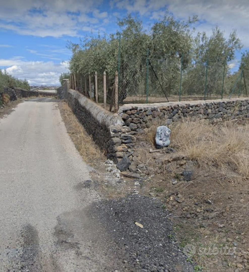 Terreno agricolo in ''CONTRADA LUPPINO'' - Vista 3
