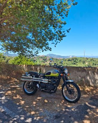Triumph scrambler 900