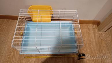gabbia per roditori 