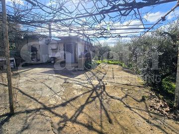 Rustico/Casale/Corte Artena [Cod. rif 3298235VCG]