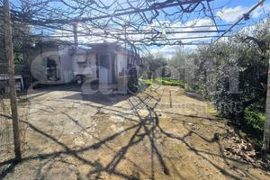 Rustico/Casale/Corte Artena [Cod. rif 3298235VCG]