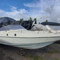 Squalo 30