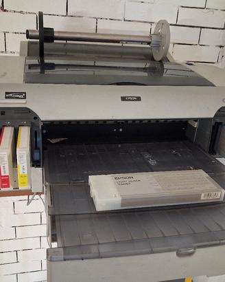 EpsonstylusPro4800 foto/pellicole serigrafia