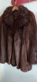 Pelliccia castoro 