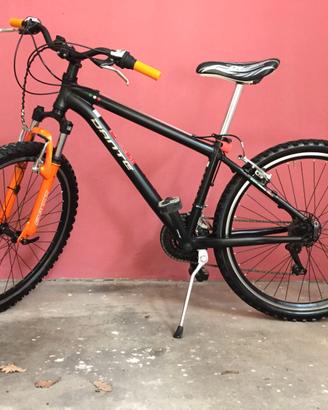 Bicicletta Mountain Bike