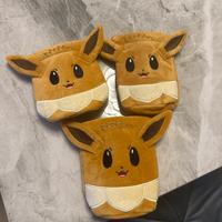 Sacchetti evee pokemon