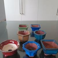 vasi bonsai per erbe da compagnia o piccoli mame