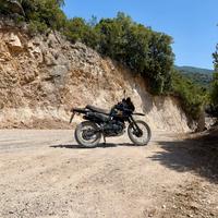 Honda dominator nx 650