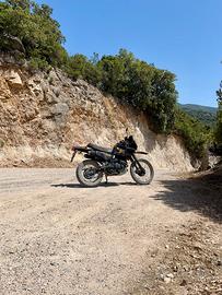 Honda dominator nx 650