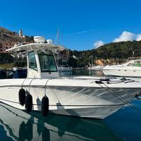 Boston Whaler - Outrage 280