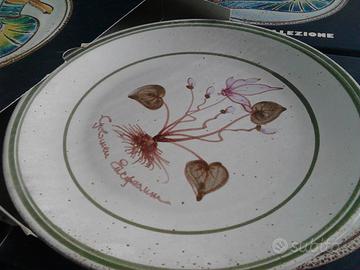 Piatti della cottoveneto 