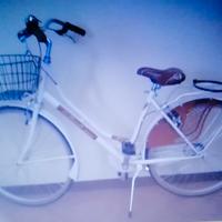 Bicicletta olandese