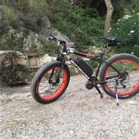 E-Bike bici elettrica