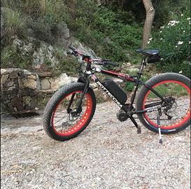 E-Bike bici elettrica