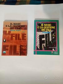 Lotto 2 Libri Vintage BASIC e Gestione File - J. B