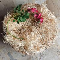 Oggetti per decorazioni pasquali