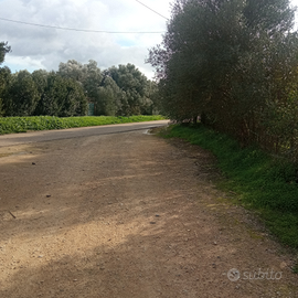 Terreno agricolo 5000mq