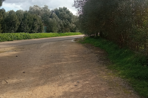 Terreno agricolo 5000mq