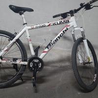 mtb bianchi 