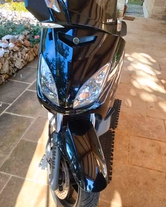 X Max 250