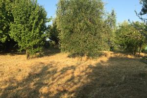 Terreno agricolo panoramico