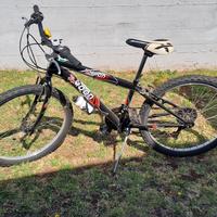 bici da 24 
