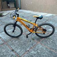 Lombardo tropea 24 arancione