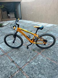 Lombardo tropea 24 arancione