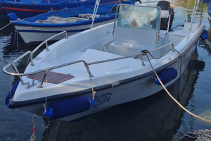 Barca motore Suzuki Ari