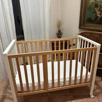 Culla Erbesi Evolution