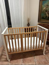 Culla Erbesi Evolution