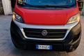 Fiat Ducato 33 2.3 MJT 130CV PC-TN Furgone