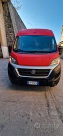 Fiat Ducato 33 2.3 MJT 130CV PC-TN Furgone