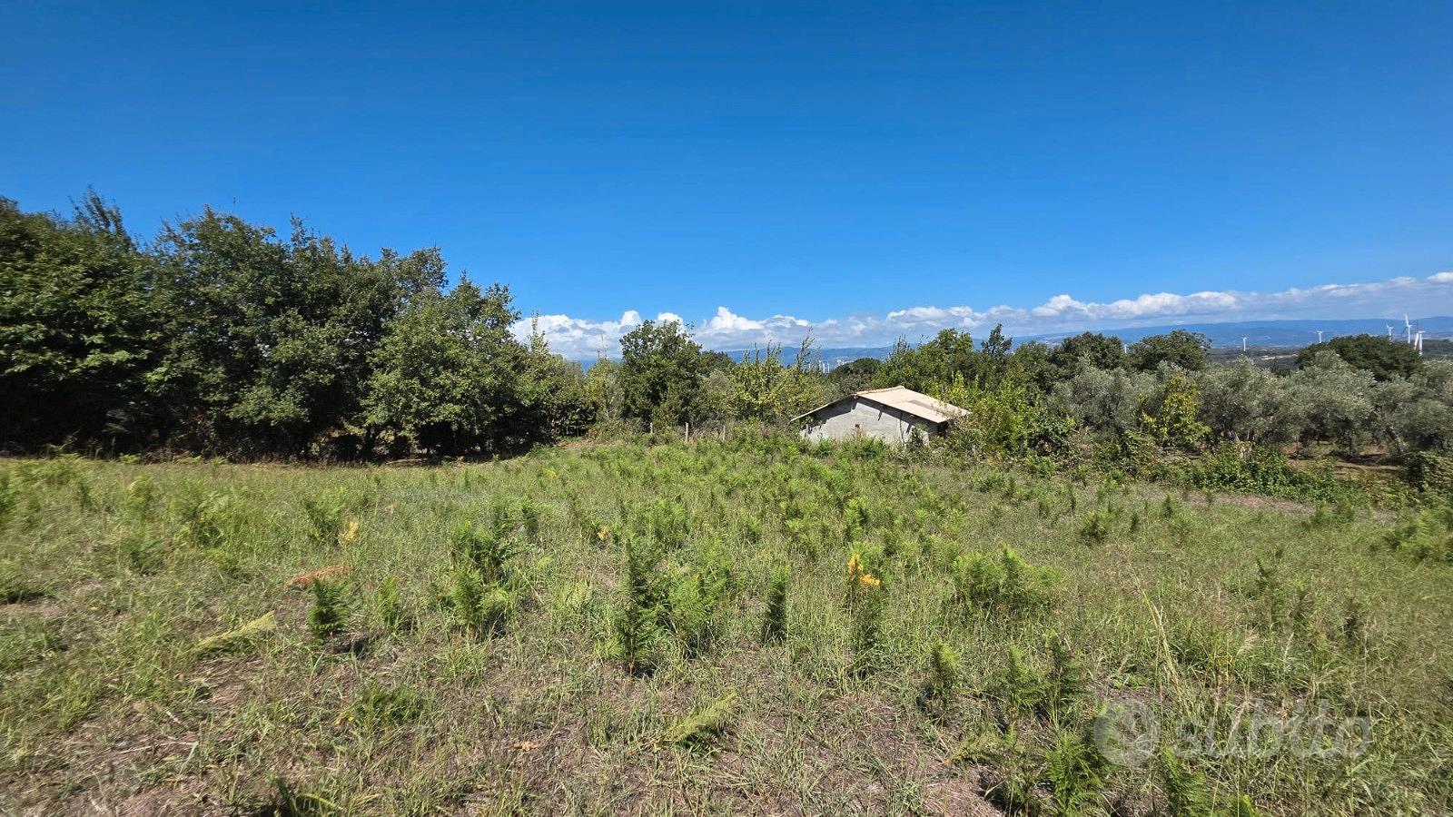 Terreno Agricolo a Girifalco (CZ) - Contrada Vasia - Vista 3