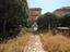 Immagine 26