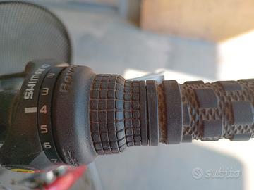 bicicletta da donna con cabio