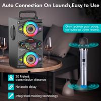 Altoparlante portatile wireless da 60 W