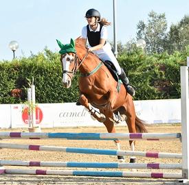 Cavallo