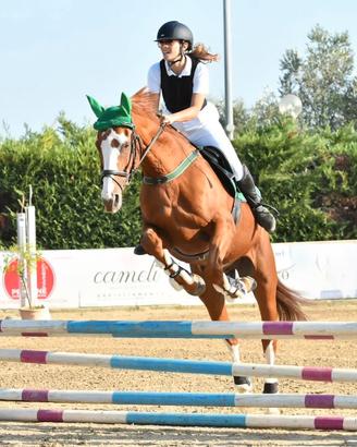 Cavallo