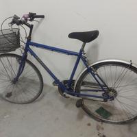 Bicicletta da passeggio