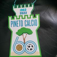 Gagliardetto Pineto