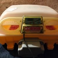 Incubatrice professionale