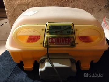 Incubatrice professionale