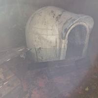 Cucce cani n.2 vedo in blocco